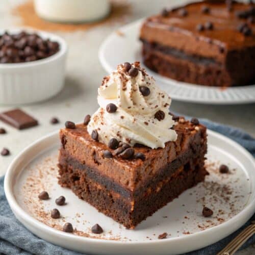 Chocolate coffee cake slice with cream